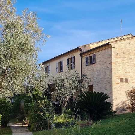 Le Residenze Degli Ulivi Hotel Campofilone Bagian luar foto